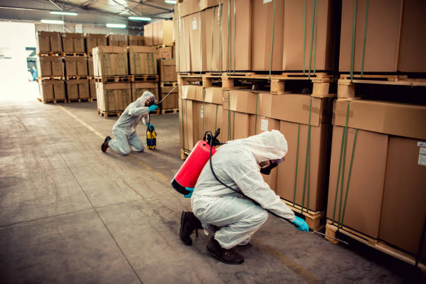Best Pest Prevention Services  in Llano Grande, TX
