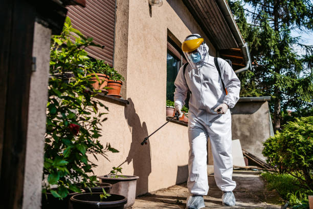 Wasp Removal Services in Llano Grande, TX