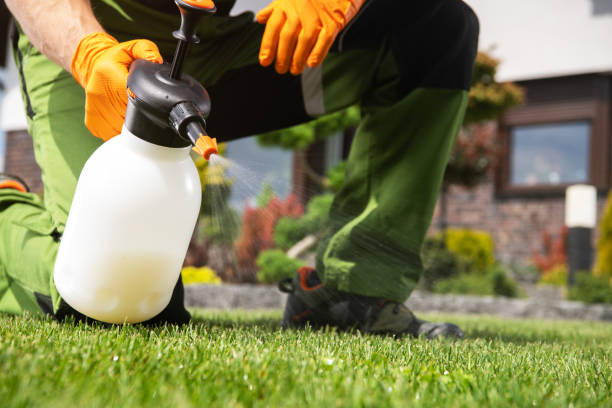 Pest Prevention Services in Llano Grande, TX