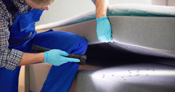 Best Bed Bug Extermination  in Llano Grande, TX