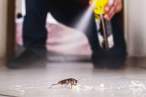 Best Pest Inspection Near Me  in Llano Grande, TX