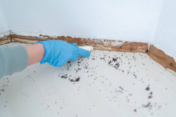 Best Wildlife Control Services  in Llano Grande, TX